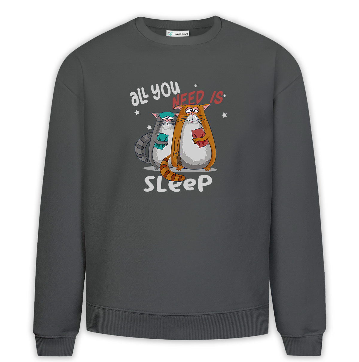 All You Need Baskılı Premium Oversize Sweatshirt